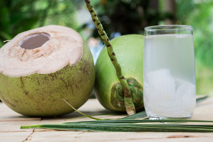 Ilustrasi apakah boleh minum air kelapa muda saat demam?