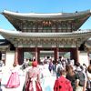 rekomendasi tour travel ke korea