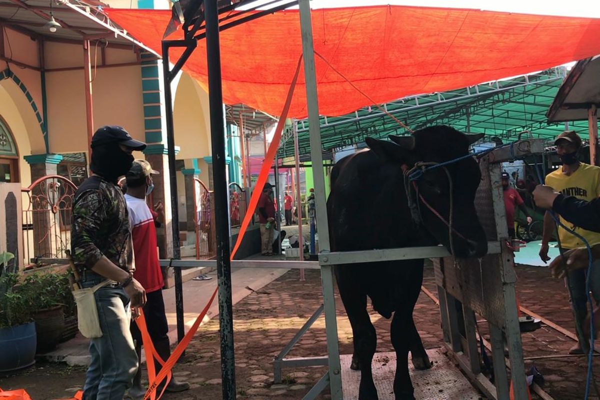 Alat bantu pemotong hewan kurban di Masjid Jami Al Furqon, Buahbatu, Bandung, Selasa (20/7/2021). Alat ini membuat proses penyembelihan kurban lebih cepat.
