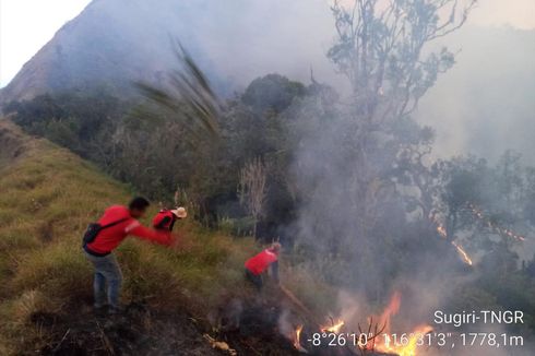 115 Hektare Hutan Savana di Kawasan Taman Nasional Gunung Rinjani Terbakar