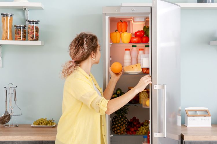 Ilustrasi kulkas atau lemari es, pintu kulkas. 