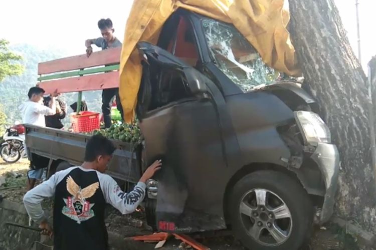 Mobil Pickup Tabrak Pohon Hingga Muatan Jeruknya Berhamburan Jadi Rebutan Warga