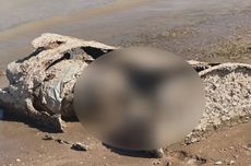 Mayat Manusia Bermunculan di Danau Mead, Polisi Temukan Senjata Dekat Jenazah di Tong