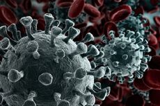 Pemerintah Inggris Konfirmasi Virus Corona Jenis Baru 