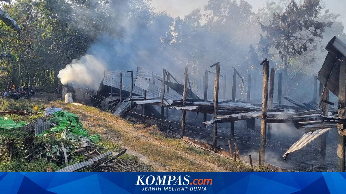 Kandang Ayam di Kebumen Ludes Terbakar, Kerugian Capai Rp 750 Juta