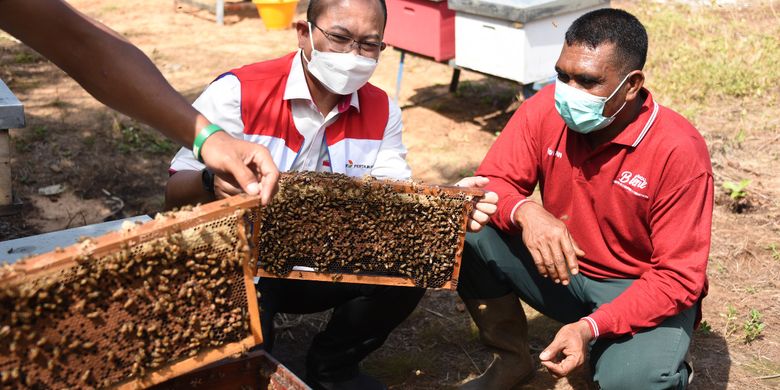 Mengecap Manisnya Budidaya Lebah Madu di Halaman Rumah Halaman all - Kompas.com