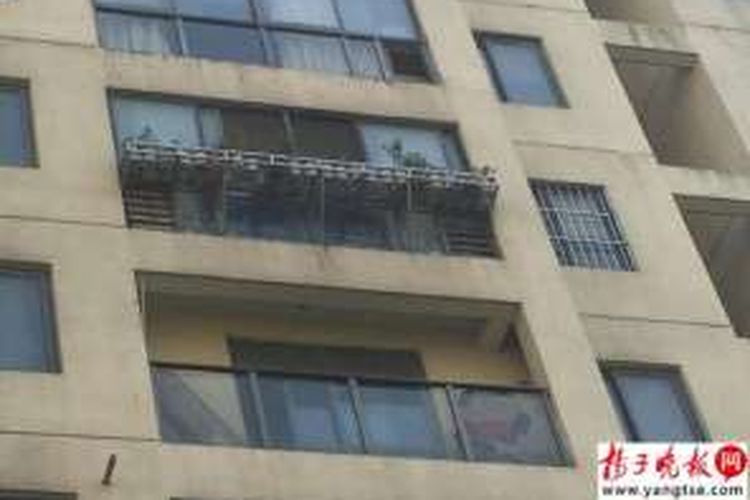 Rak tanaman ini sempat dihantam Qiqi, balita tiga tahun yang jatuh dari sebuah apartemen di lantai 15.

