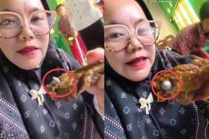 Benda Diduga Peluru Ditemukan Dalam Daging Menu MBG di Lampung Utara, SPPG Disuspend