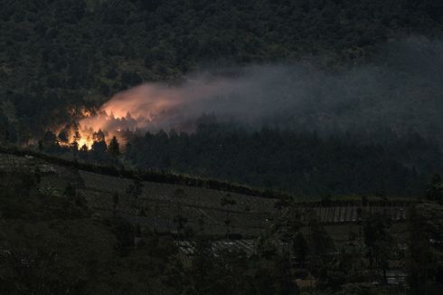 500 Orang Dikerahkan untuk Padamkan Kebakaran Hutan Lindung Gunung Slamet