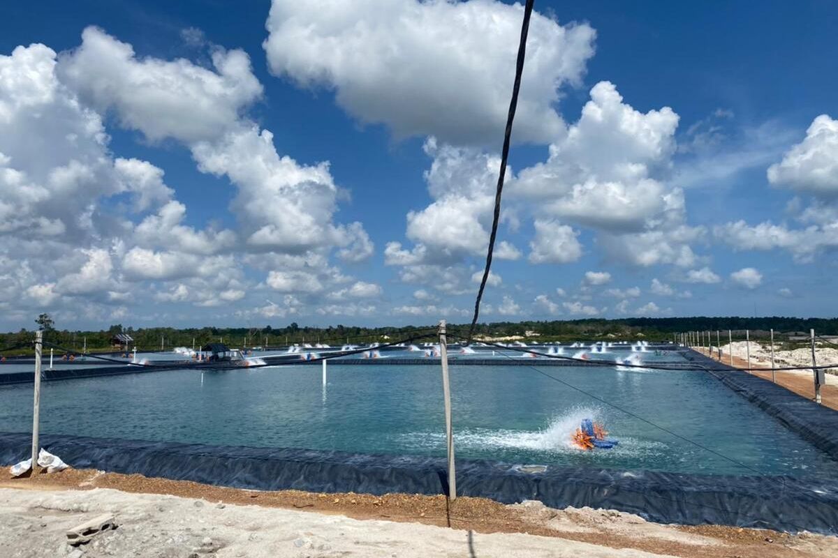 Salah satu kolam tambak udang vaname di Bangka, Kepulauan Bangka Belitung, Jumat (16/4/2021).