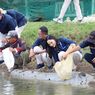 Perkuat Usaha Masyarakat Pesisir, Agrinas Jaladri Salurkan 19.500 Benih Ikan