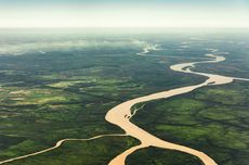 Mengapa Tidak Ada Jembatan di Sungai Amazon?