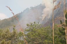 Tanggapi Isu Kebakaran Hutan, Sandiaga: Jangan Buang Puntung Rokok Sembarangan