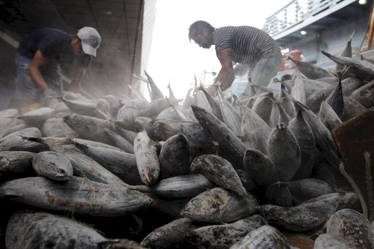 Para pekerja membongkar muatan ikan tongkol hasil tangkapan nelayan di Pelabuhan Perikanan Nizam Zachman, Muara Baru, Jakarta, Jumat (29/6/2018). Nilai ekspor produk perikanan RI ke Vietnam tembus Rp 2,04 triliun.