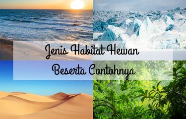 Ada beberapa jenis habitat hewan, antara lain kutub es, hutan hujan, gurun pasir, dan laut.