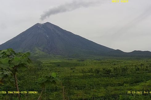 Erupsi Gunung Semeru, Lontaran Abu Setinggi 500 Meter