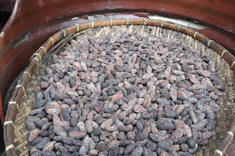 Biji kakao dalam proses pembuatan cokelat di Ralfe Gourmet di Cebu, Filipina, Rabu (27/6/2018).