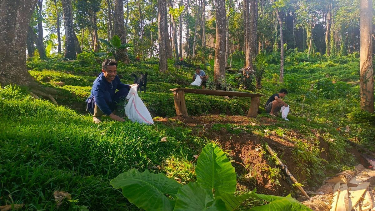 Kemhut Revisi Aturan, Peran Kesatuan Pengelolaan Hutan Bakal Diperkuat
