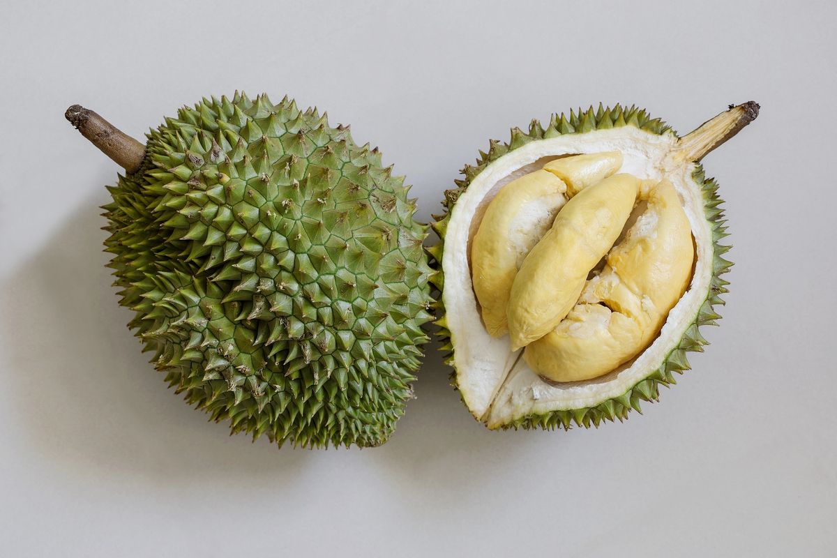 Ilustrasi apa khasiat makan durian?