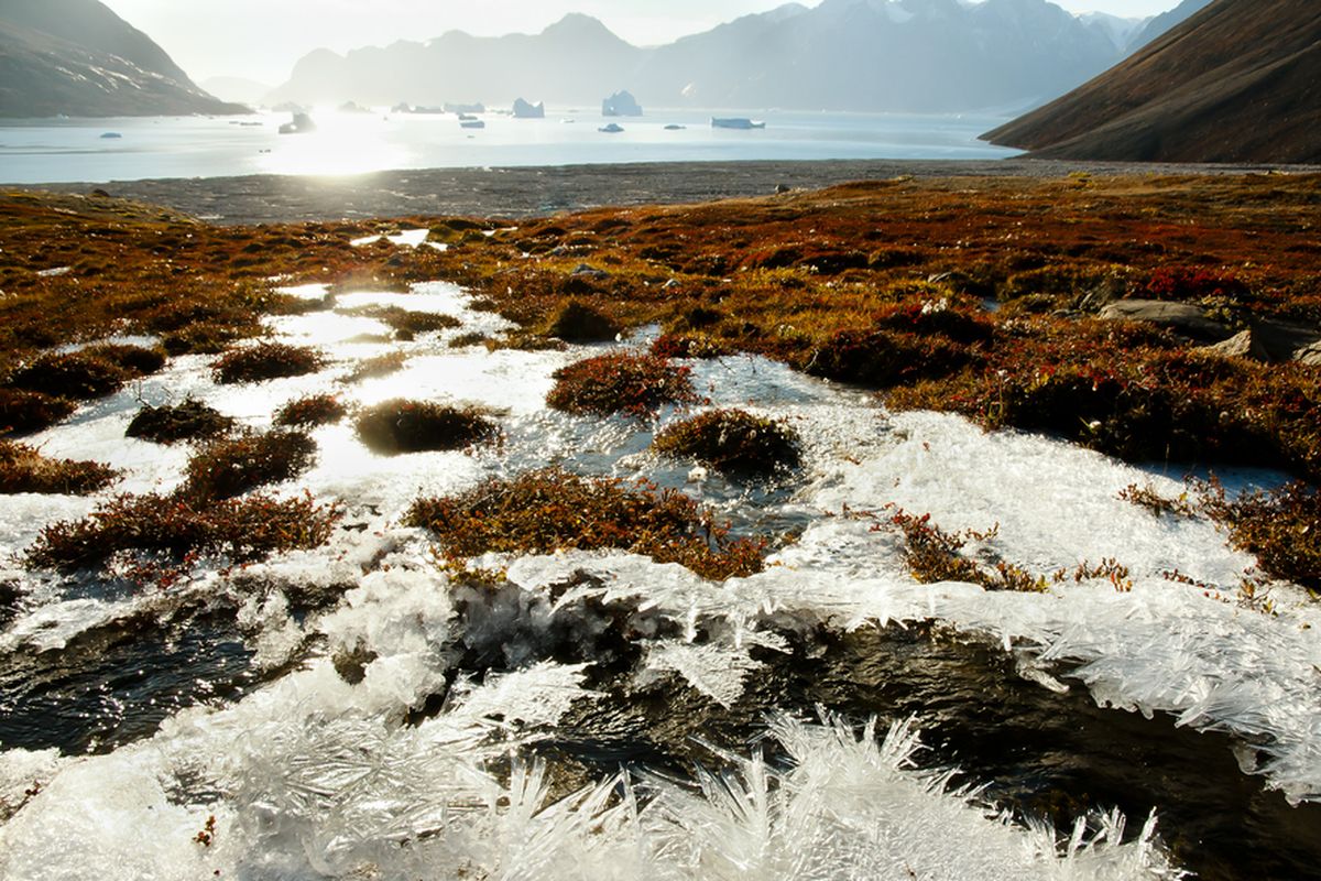 Ilustrasi permafrost atau lapisan tanah beku. Mencairnya permafrost berpotensi melepaskan berbagai patogen purba, yang mungkin bisa membahayakan makhluk hidup dan mikroorganisme modern.