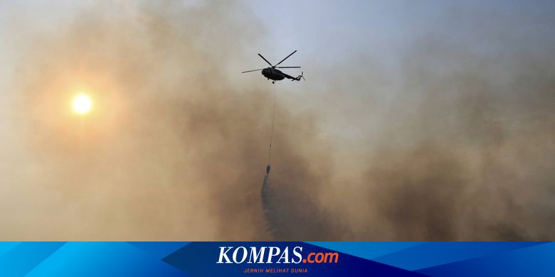 Kebakaran Hutan Dan Lahan Apa Dampak Dan Upaya Pencegahannya Halaman All Kompas Com