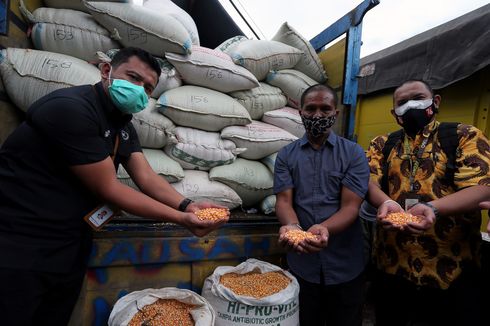 Kementan Sediakan 1.000 Ton Jagung, Peternak di Blitar Masih Tunggu Kepastian Janji Presiden