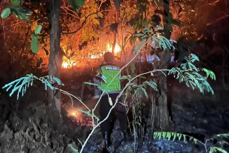 Lahan Perhutani di Sikayu Kebumen Terbakar, Api Lahap 5 Hektare