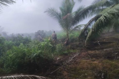 Diadang Asap dan Sumber Air Terbatas, Pemadaman Karhutla di Riau Terkendala