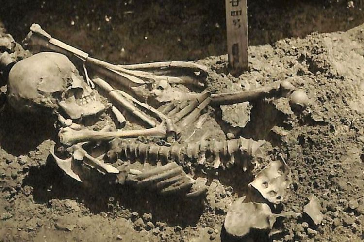 Kerangka pria yang dikenal sebagai Tsukumo Nomor 24 ditemukan di Situs Tsukumo, Jepang. Peneliti menduga pria yang hidup 3.000 tahun silam ini adalah korban serangan hiu.