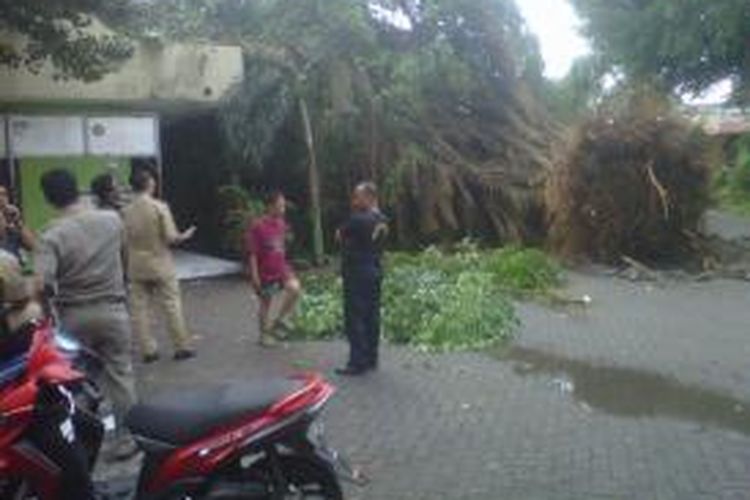 Angin kencang menyebabkan pohon besar roboh dan menimpa sebagian bangunan Kantor Kelurahan Semampir Kecamatan Mojoroto, Kota Kediri, Jawa Timur, Selasa (29/10/2013).