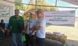 Menanam Mangrove, Menumbuhkan Harapan: Cara Lestari KG Media Melampaui Berita
