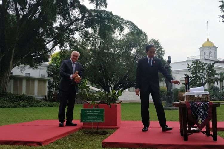Presiden Joko Widodo dan Presiden Republik Federal Jerman Frank-Walter Steinmeier menanam Pohon Cendana di Istana Kepresidenan Bogor pada Kamis (16/6/2022).