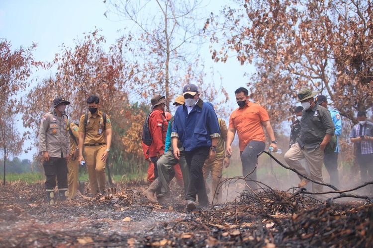 Karhutla di Sumsel Masih Terjadi meski Ada Banpres Rp 100 Miliar, Ini Penjelasan Herman Deru
