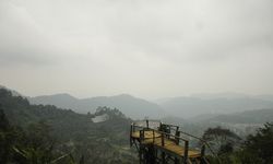 Paduan Keindahan Alam dan Aroma Kopi Arabika di Desa Cupunagara