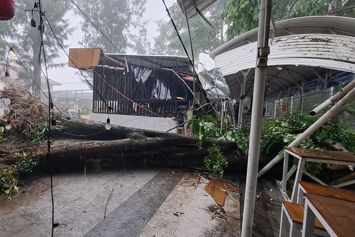 Hujan Deras, Pohon Tumbang Timpa Selter Manahan Solo, 1 Kios Rusak dan Seorang Pengunjung Terluka