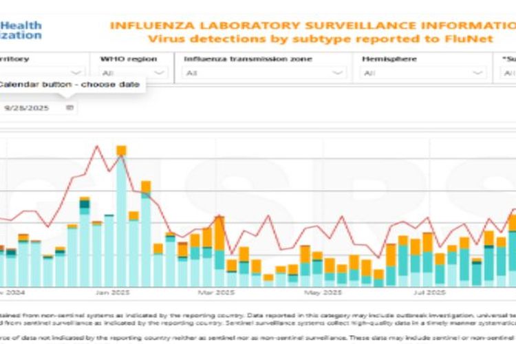 Data virus influenza November 2024 -September 2025 WHO