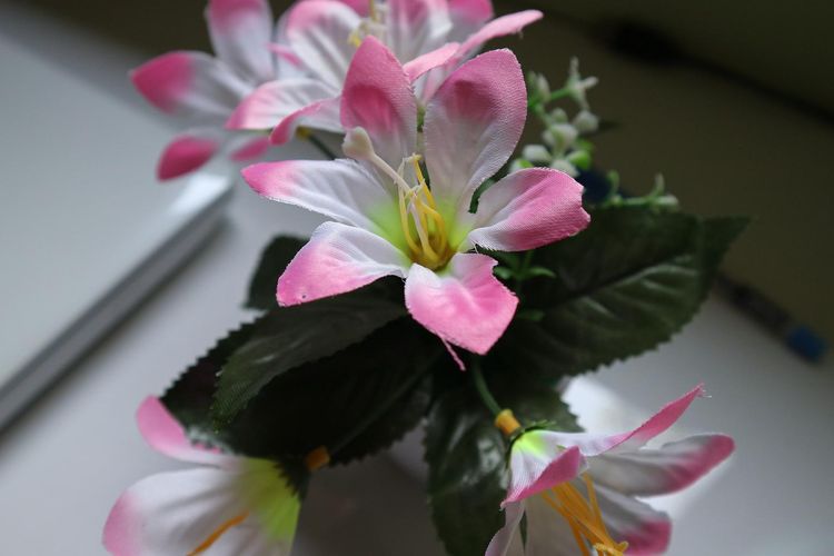 Ilustrasi tanaman palsu, bunga palsu. 