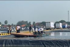 Jokowi Panen Ikan Nila Salin di Tambak Air Payau di Karawang