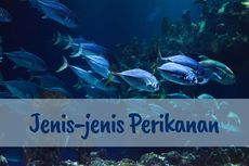 Jenis-Jenis Perikanan