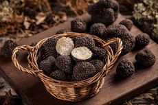 Ranjau ISIS Tewaskan 13 Pencari Jamur Truffle di Gurun Suriah