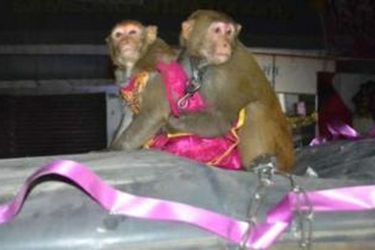 Sepasang mempelai, Ramu dan Ramdulari diarak di atap kendaraan berhias bunga, dengan diiringi musik dan tarian.

