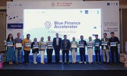 12 Perusahaan Rintisan dan UKM Terpilih Bantu Pemerintah Tawarkan Investasi Biru