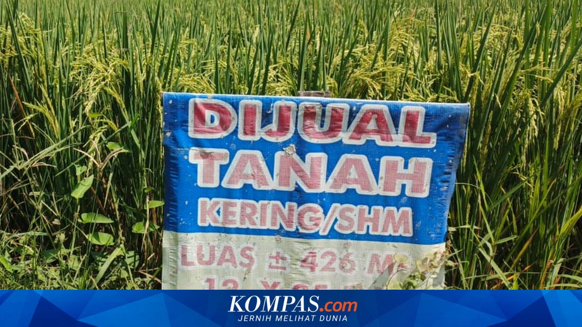 Status Sertifikat Tanah Bisa Dicek di BPN, Tarifnya Rp 50.000