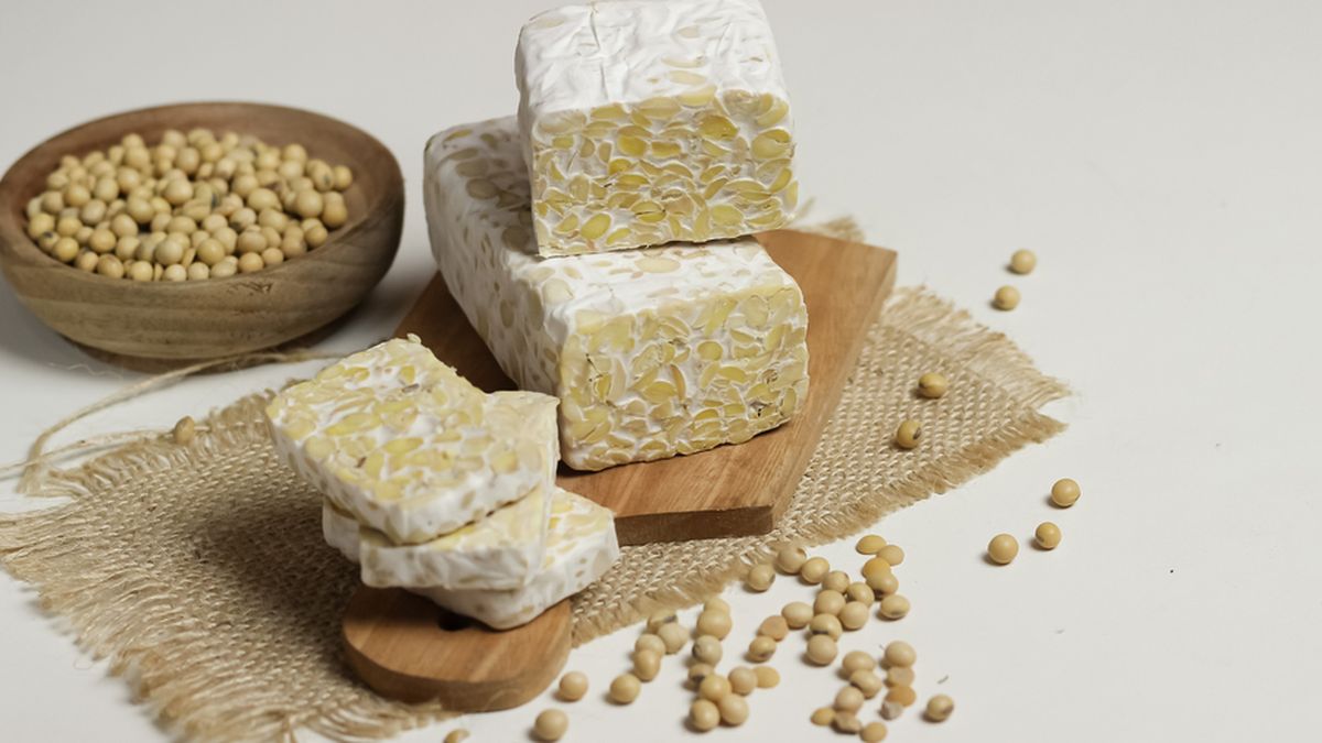 Proses Fermentasi Tempe