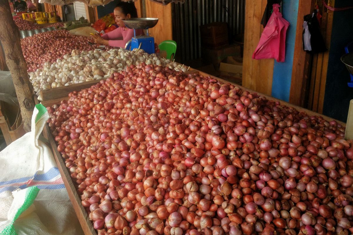 Ilustrasi bawang merah.