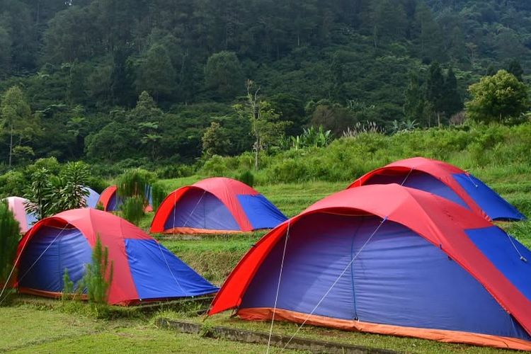 D'Jungle Private Camp Bogor