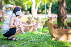 6 Tips Berkunjung ke Kebun Binatang dengan Balita