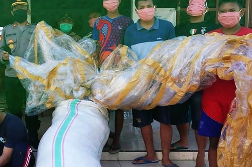 Polisi Sita 87 Balon Udara Milik Warga, Salah Satunya Berukuran 35 Meter