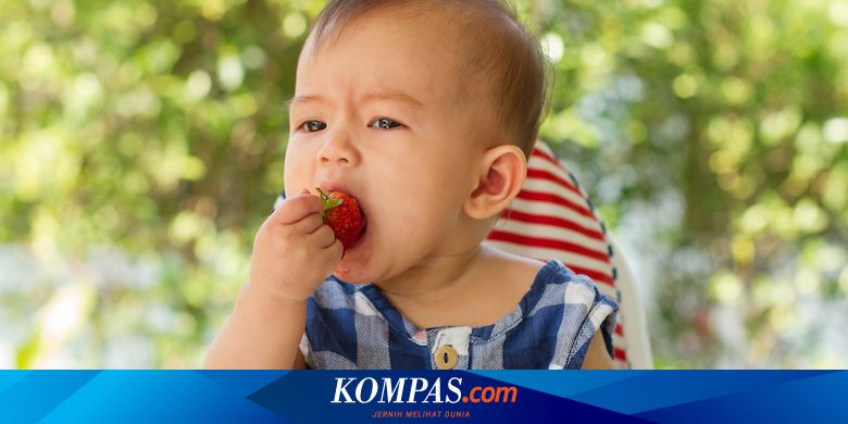 Makanan Penjaga Kecerdasan Bayi Saat Dalam Kandungan