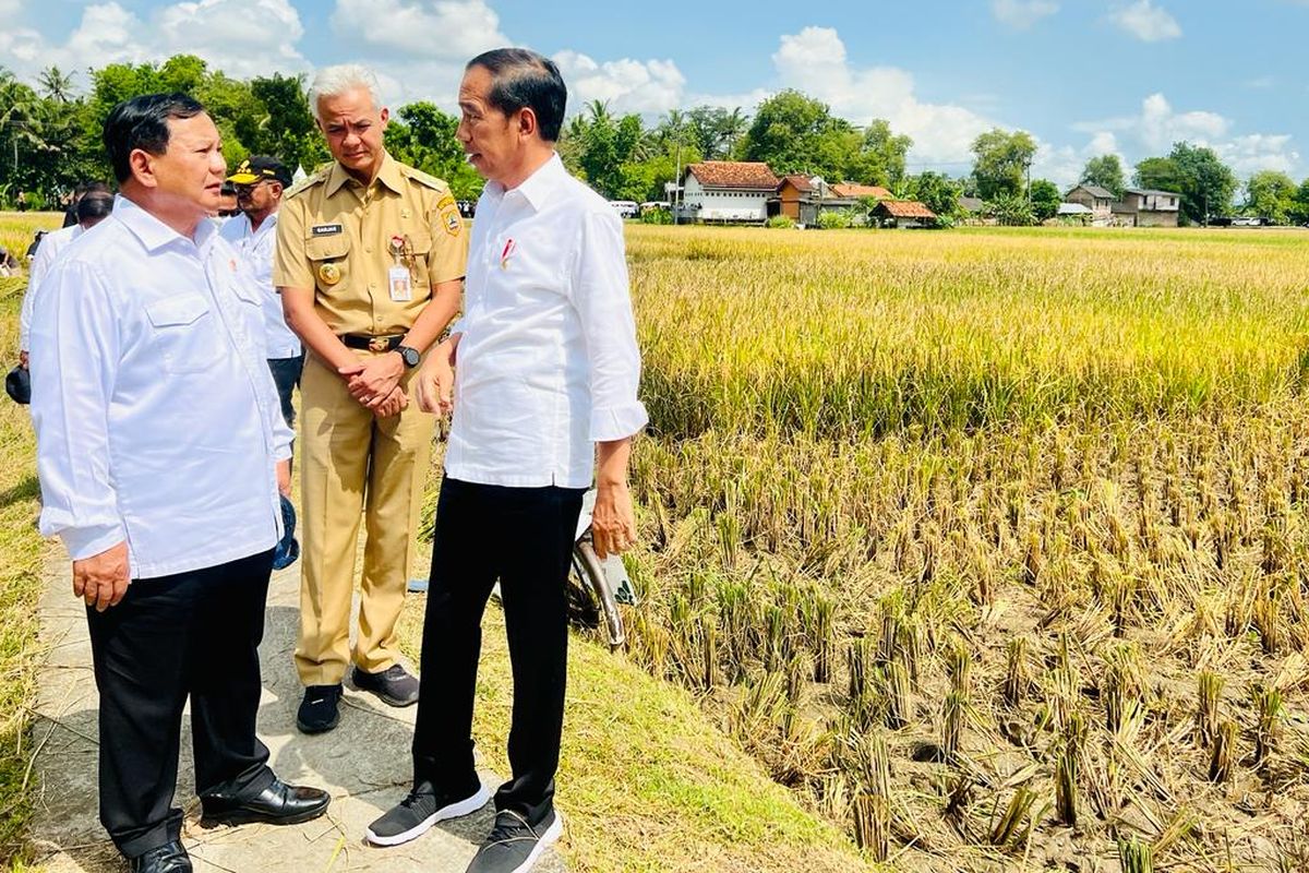 Presiden Joko Widodo, Menteri Pertahanan Prabowo Subianto, dan Gubernur Jawa Tengah Ganjar Pranowo berbincang saat menghadiri panen raya di Kebumen, Kamis (9/3/2023).